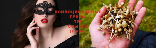 спиды Нея