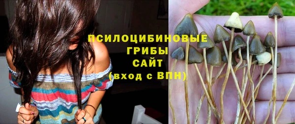 MDMA Новозыбков